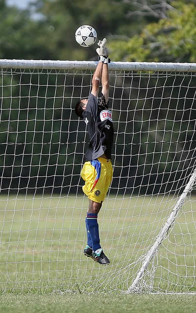 加盟桑托斯 加盟桑托斯