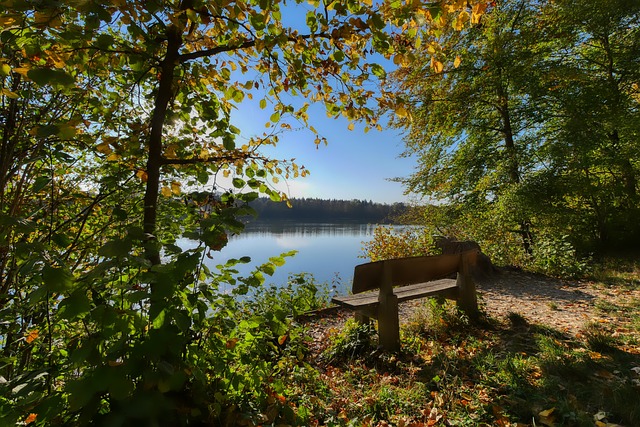 功的重要因 功的重要因