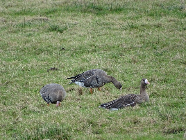 20／21賽季歐冠小組賽第1輪比賽集錦.