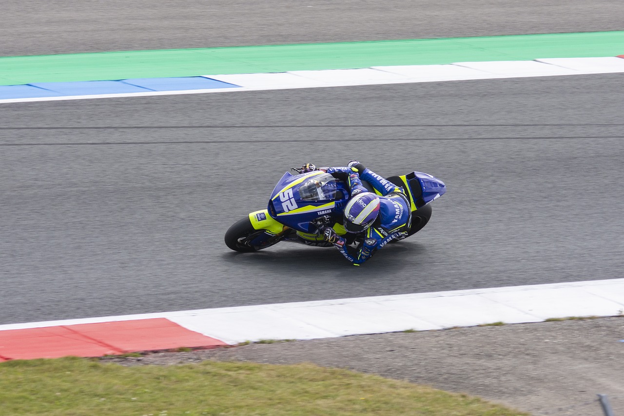 如果你不主 如果你不主