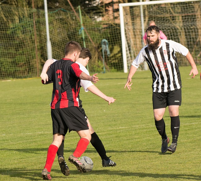 国际选手的 国际选手的